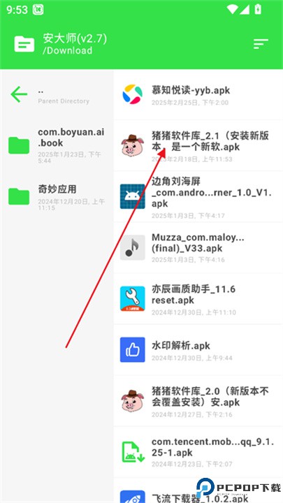 安大师
