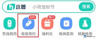 小荷健康