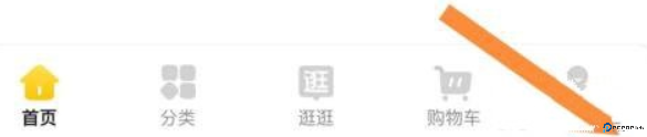 晨光联盟