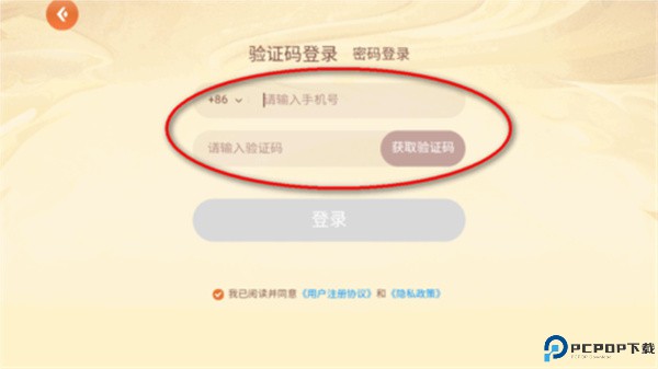 少年纵横