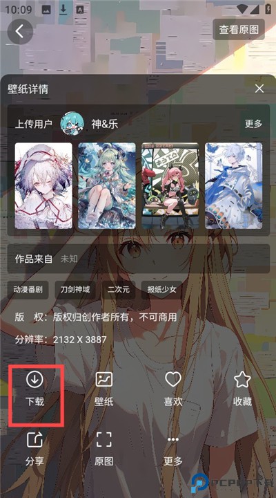 花火壁纸app手机