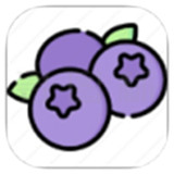 蓝莓音乐app