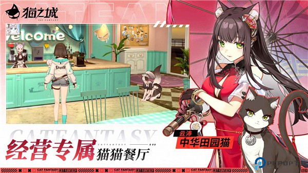 猫之城手机版