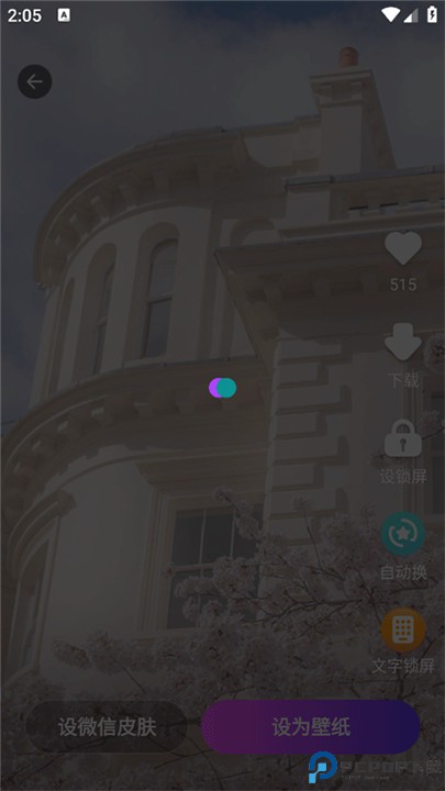 壁纸酷酷手机版