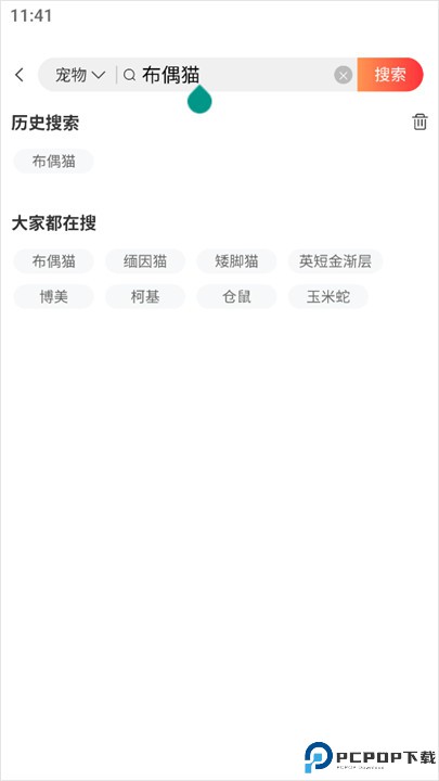 宠物市场