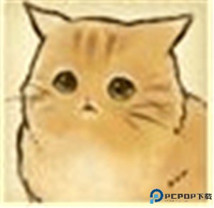 猫咪天堂