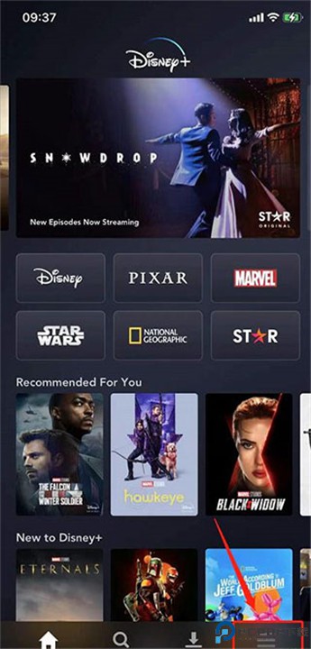 Disney+