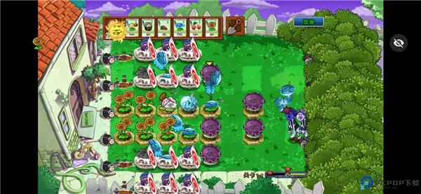 植物大战僵尸ikun版