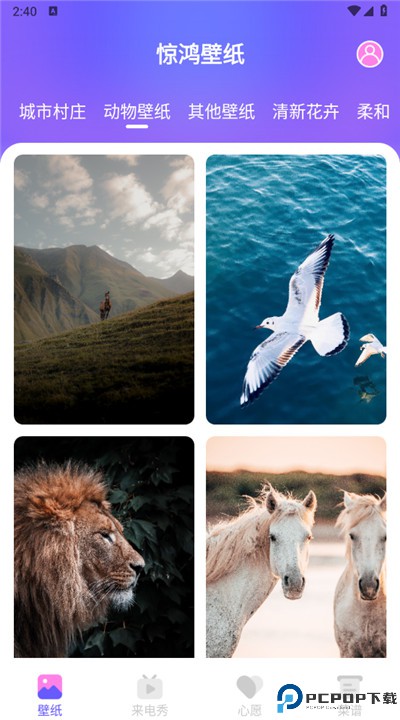惊鸿壁纸软件