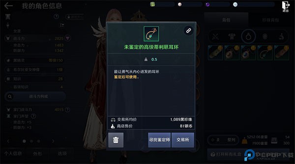 黑色沙漠手机版