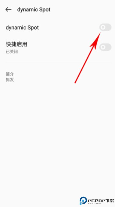 dynamicsport灵动岛