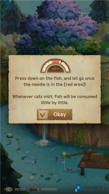 猫咪密林中文