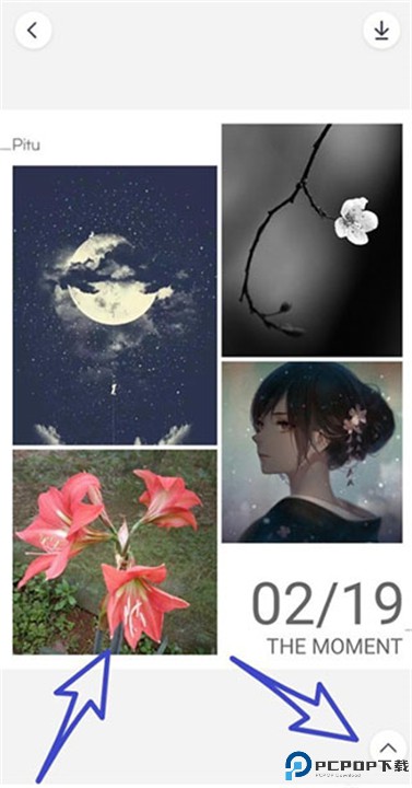 天天p图最新版