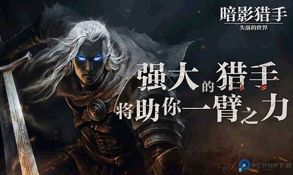 暗影猎手失落的世界中文版
