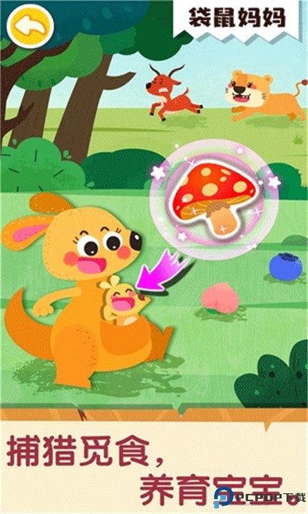 奇妙的动物家庭