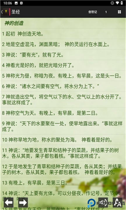 读圣经