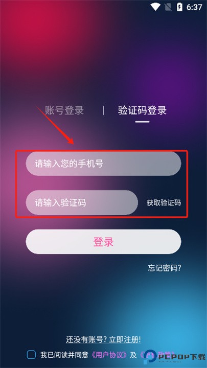 彩虹鸟