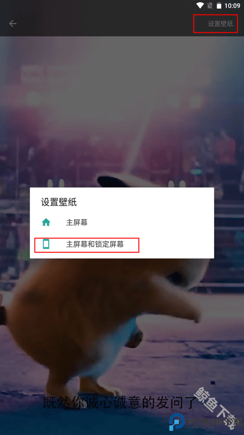 皮皮壁纸