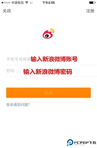 物理大师