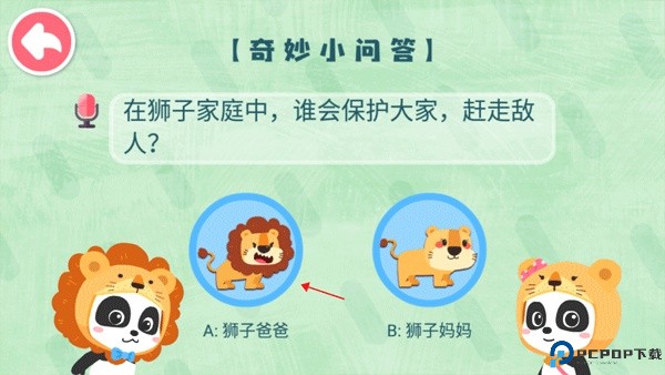 奇妙的动物家庭