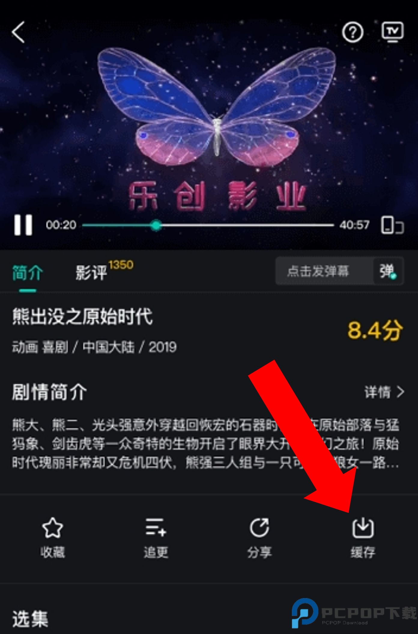 海鸥影评