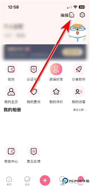 初见桃花