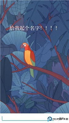 孤独的鸟儿手游