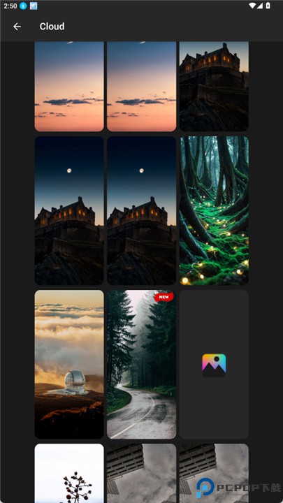 主题app