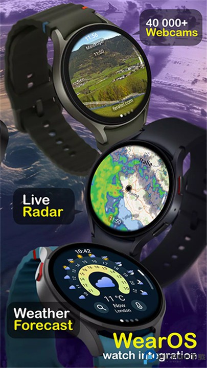 ventusky风雨气温图app