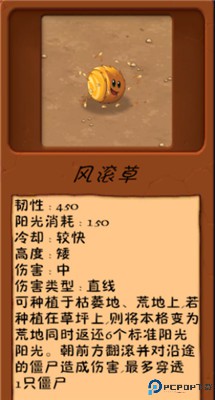 植物大战僵尸异化时空