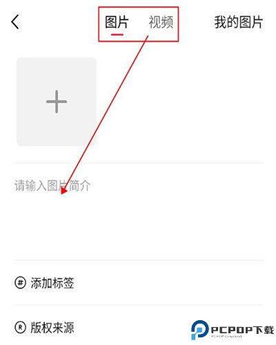 汽水壁纸软件