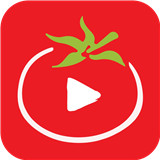 番茄影视安卓版