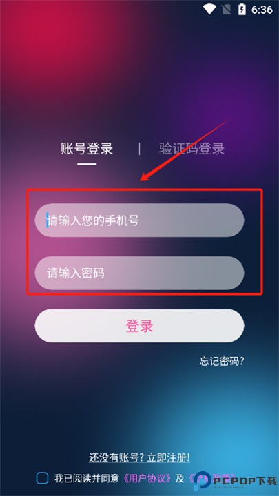 彩虹鸟