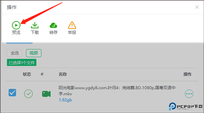 飞鸟下载器最新版