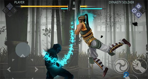 暗影格斗3中文版
