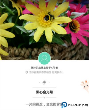 形色