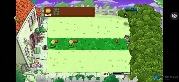 植物大战僵尸ikun版