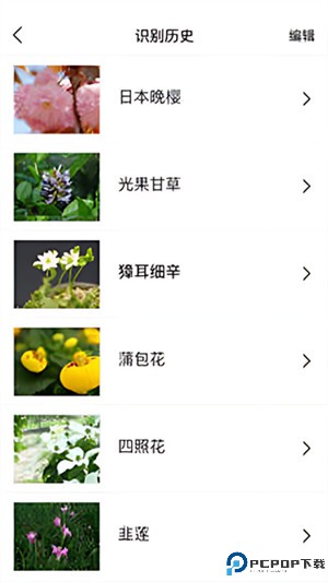 识花君app