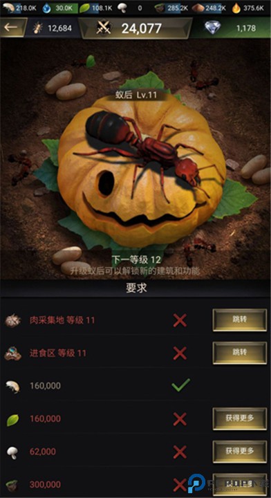 小小蚁国