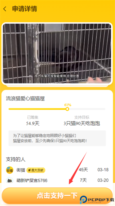 哈啰街猫