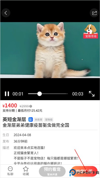 宠物市场