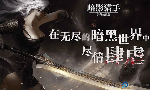 暗影猎手失落的世界中文版