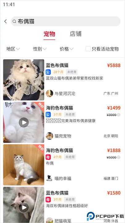 宠物市场