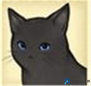 猫咪天堂