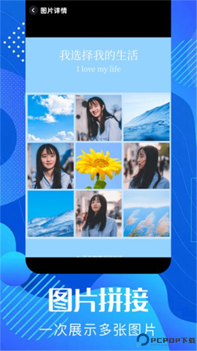 pixverse视频生成器手机版