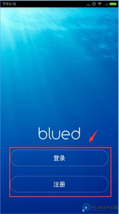 布鲁帝交友软件2025