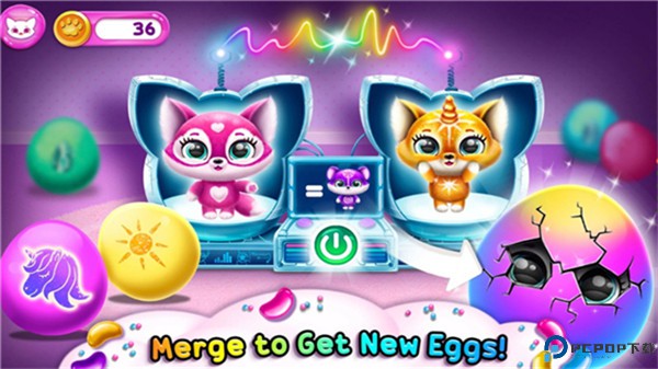 菲露茜斯宠物猫手游