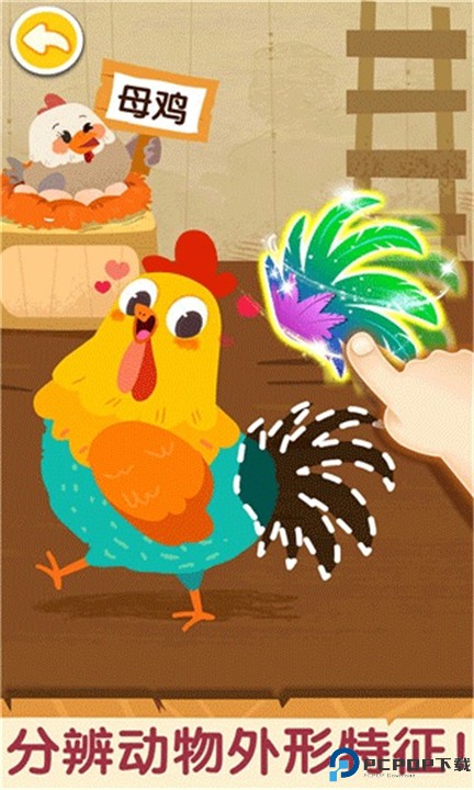 奇妙的动物家庭