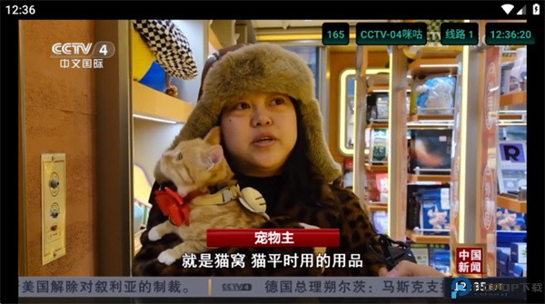 猫tv
