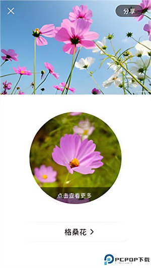 识花君app